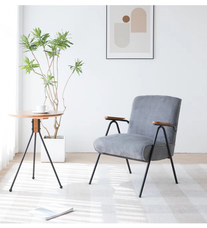 Literary Star Spot Velvet Accent Chair Hotel Home Coffee Shop Fabric Dining Chairs 0